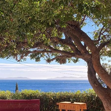 L'Arbousier Bed & Breakfast Le Le Rayol-Canadel-sur-Mer Екстериор снимка